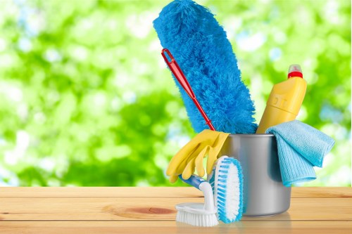 Kitchen and bathroom regular cleaning tasks in TW7