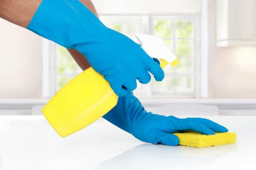 Deep cleaning of a carpet affected by pet urine in TW7