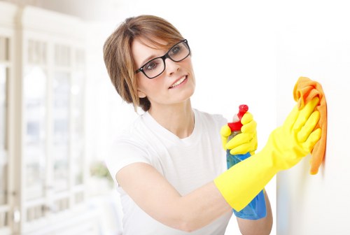 Professional window cleaning for homes in TW7 with clear exterior glass and tidy frames