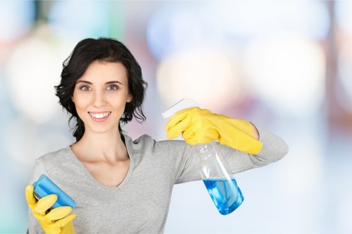 Window cleaning equipment and access used for properties across the TW7 area