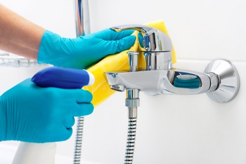 Local cleaner working in a TW7 apartment or flat