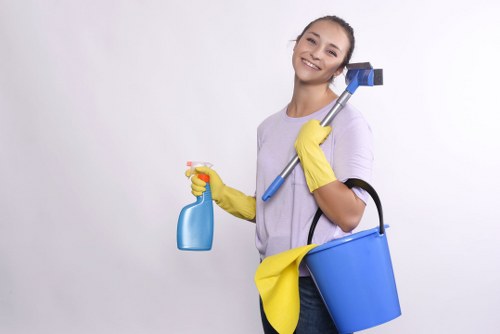 End of tenancy cleaning details for a bathroom in TW7