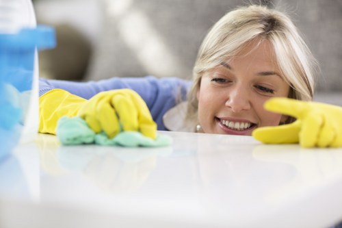 Accessibility support request guidance for Carpet Cleaners TW7