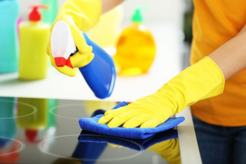 Payment and invoicing terms for carpet cleaning services