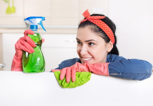 Professional stain removal process for a carpeted room