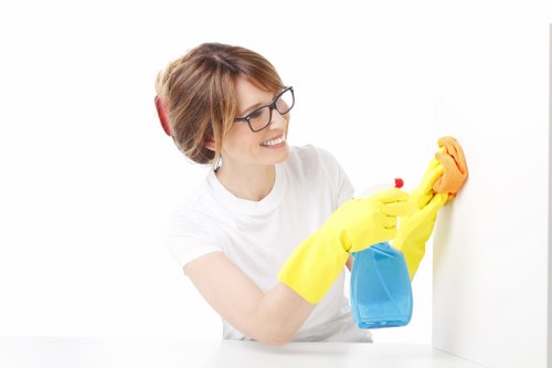 Mattress cleaning equipment used in a local Isleworth property