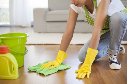 Cleaner maintaining lift lobby and corridor in TW7 property