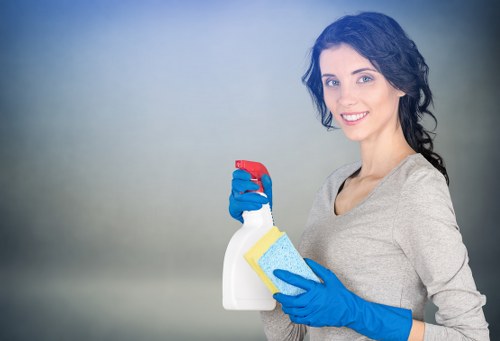 Move in cleaning checklist and property preparation for TW7 residents